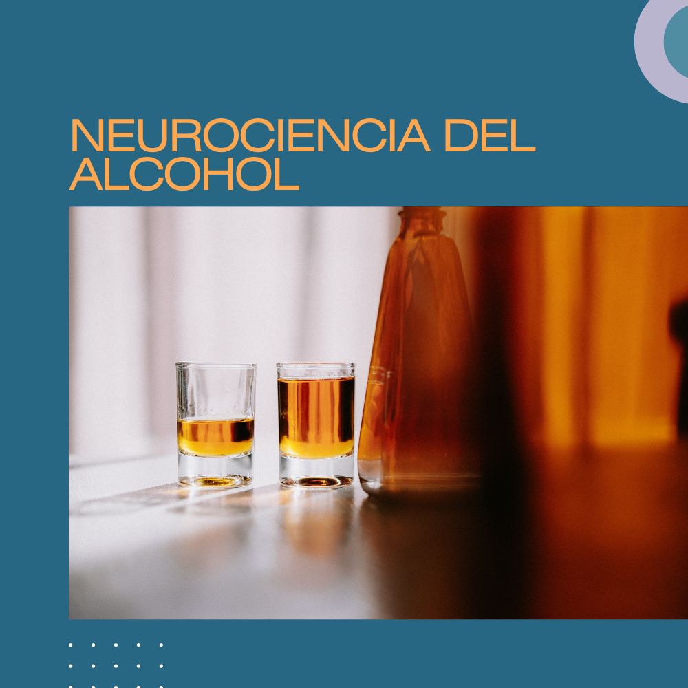 Neurociencia del alcohol