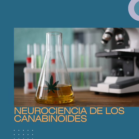 Neurociencia de los canabinoides