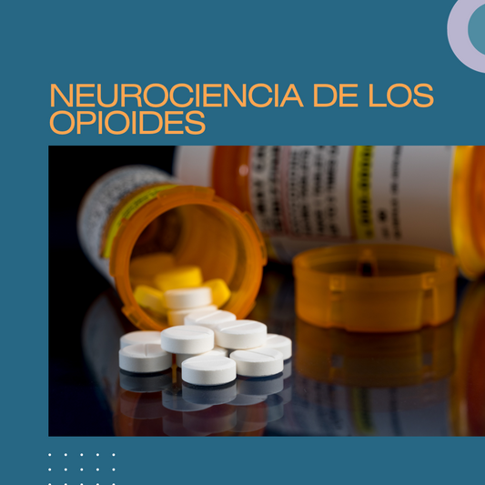 Neurociencia de los opioides