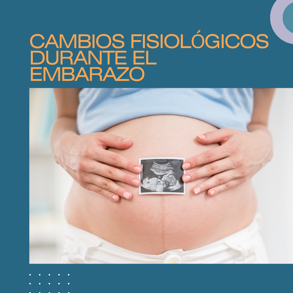 Cambios fisiológicos durante el embarazo - PRESENTACIÓN PPTX