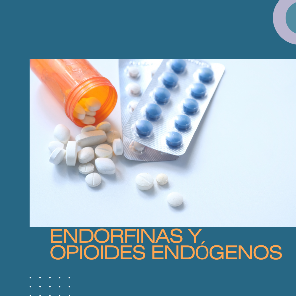 Endorfinas y opioides endógenos
